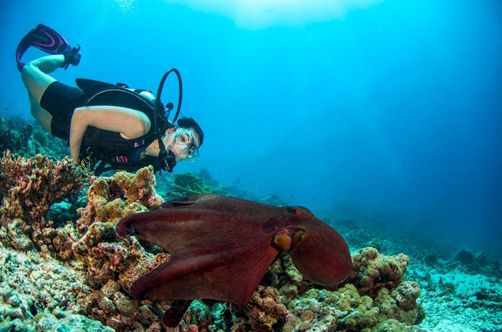 Dusit Thani Maldives Baa Atoll